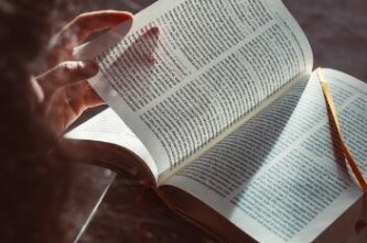 上海社保查询个人账户官网？